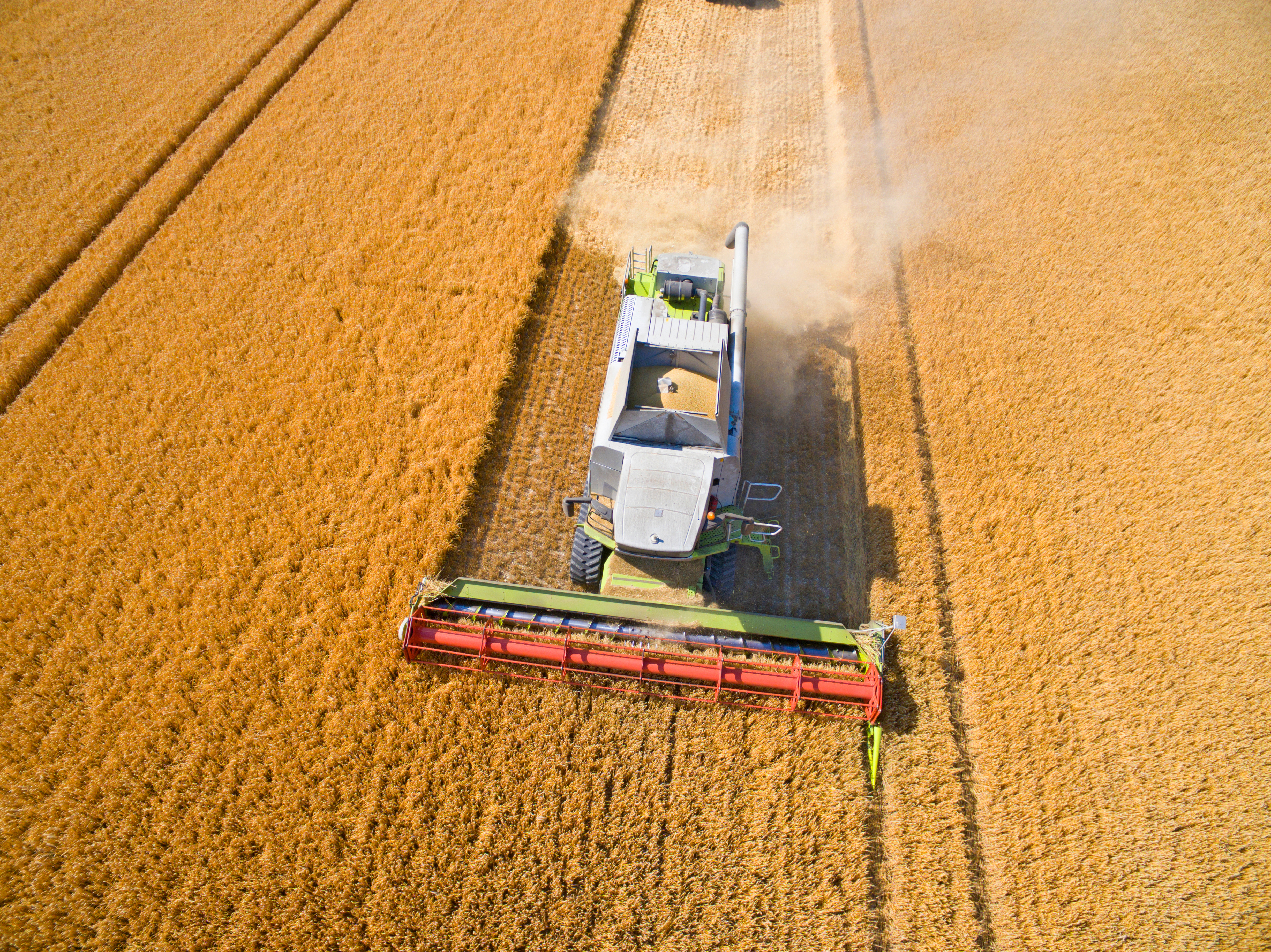 Aerial view of a combine moving through a wheat field during harvest